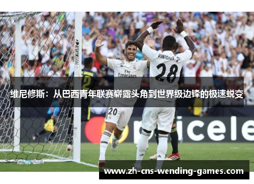 维尼修斯:从巴西青年联赛崭露头角到世界级边锋的极速蜕变 维尼修斯:从巴西青年联赛崭露头角到世界级边锋的极速蜕变