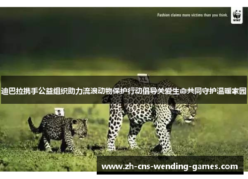 迪巴拉携手公益组织助力流浪动物保护行动倡导关爱生命共同守护温暖家园