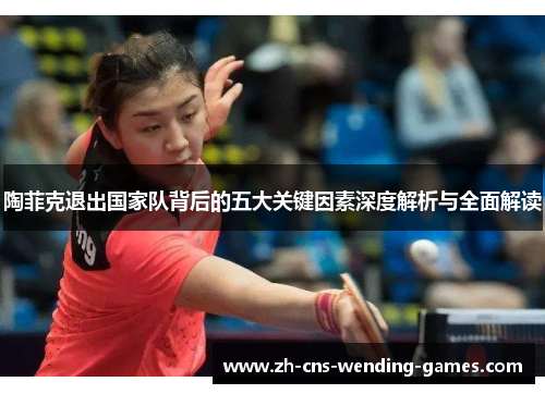 陶菲克退出国家队背后的五大关键因素深度解析与全面解读 陶菲克退出国家队背后的五大关键因素深度解析与全面解读